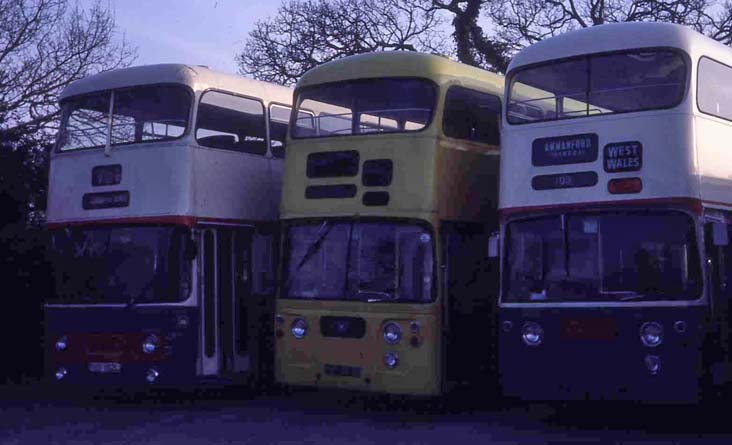 Bournemouth Yellow Buses Fleetline Alexander 132